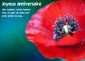 &Eacute;clat de coquelicots pour un anniversaire radieux